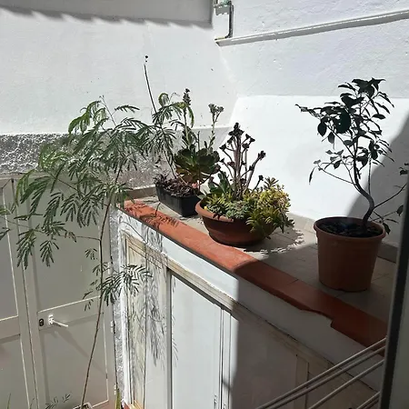 Apartment Coastal Torremolinos